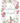 (WDR) SNOWBALL VERBENA