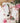 Sweet Rose & Peony Hand Cream
