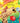 Happy Birthday Superstar Giraffe