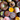 Assorted colorful belgian chocolates with various decorations on a gray surface