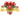 Poinsettia