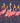 SAM91 - FLAMINGOS FRUIT HATS