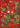 Christmas card with two red birds, holly leaves, and berries on a red background.
