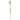 Single Artificial Flowers White Starflower Stem - 5 Flowers 60cm