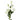 Single Artificial Flowers White Wild Rose Stem - 6 Flowers 80cm