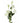 Single Artificial Flowers White Wild Rose Stem - 6 Flowers 80cm