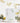 Geometric Greenery ' Miss to Mrs' Party Bags - Pack of 5