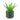 Spikey Succulent in Ceramic Pot with Aztec Design Green 14cm