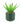 Spikey Succulent in Ceramic Pot with Aztec Design Green 14cm