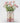 September Birth Flower - Personalised Grow Your Own Flower Gift