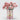 January Birth Flower - Personalised Grow Your Own Flower Gift