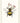NCP05 - BEE TALE & IVY