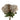 Single 75cm Extra Large Reflex Chrysanthemum - Mushroom