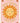 TRIP AROUND THE SUN