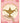 BIRTHDAY WISHES MAGIC LAMP