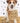 Thank You - Dog