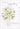 Sympathy - Lily Vase