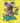 Congratulations - Open Koala