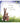 YOU# ME AND THE STRALIGHT COASTER