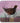 RED GROUSE COASTER