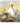 DUCK IN THE DAISIES COASTER
