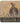 GREY PARTRIDGE COASTER