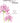 Sympathy - Mum - May You Find Comfort