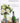 DIAMOND ANNIVERSARY - BOUQUET