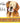 Golden Retriever Ilustration. The words Golden Oldie wrieen next to the dog.