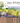 Watercolour scene with fields, sheep, cottage and tree blowing in the wind.