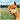 PKT R14-ALPACAON GREEN PASTURES