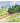 STEAM TRAIN