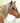 Horse and Flowers